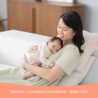 Saturday | Lactation Consultation - Home Visit