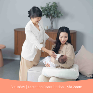 Saturday | Lactation Consultation - via Zoom